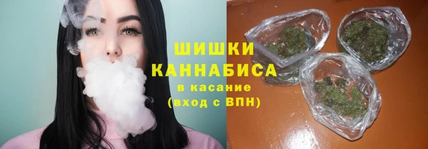 гидра Лихославль