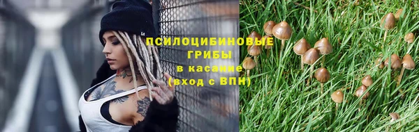спиды Лиски